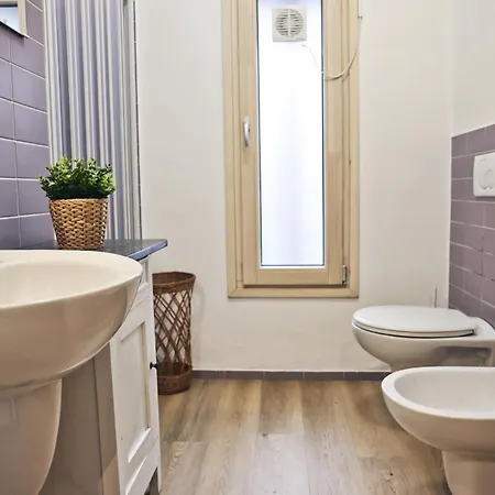 Varennahouse Lory *